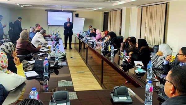 جائزة مصر للتميز