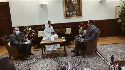 بحث تفعيل البرنامج التنفيذي بين مصر والإمارات في مجال التعليم العالي