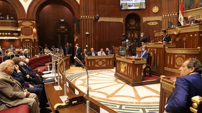 وزيرة التخطيط تشارك في اجتماع لجنة الصحة بالشيوخ لمناقشة الزيادة السكانية