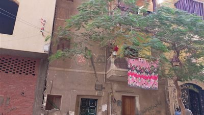 مشاكل أسرية وميراث.. تفاصيل جديدة حول جريمة الفجر بالفيوم | فيديو