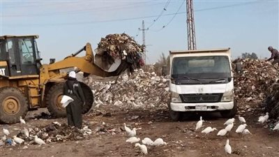 رفع 400 طن قمامة ومخلفات صلبة من شوارع سمالوط