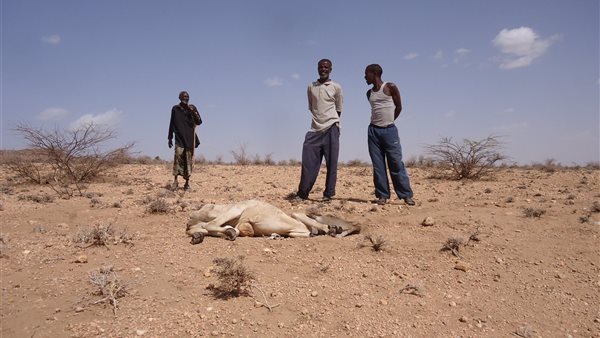 جفاف أرض الصومال-صورة