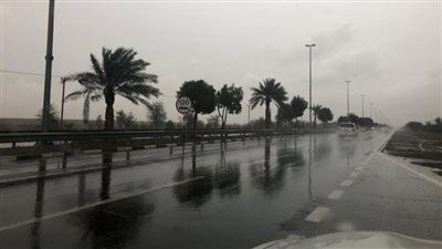 هطول أمطار غزيرة على المنيا وبورسعيد وسط انخفاض شديد بدرجات الحرارة | بث مباشر