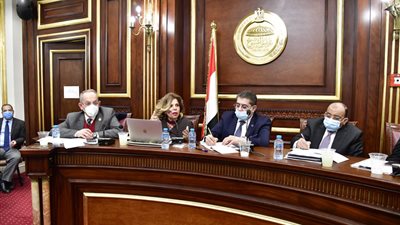 مشيرة خطاب: الزيادة السكانية بشكلها الراهن تمثل خرقا صارخا لحقوق الإنسان