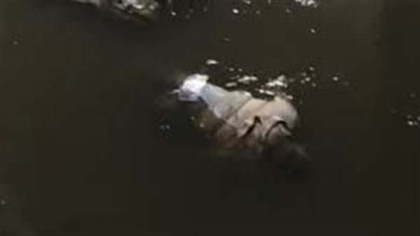 جثة - أرشيفية