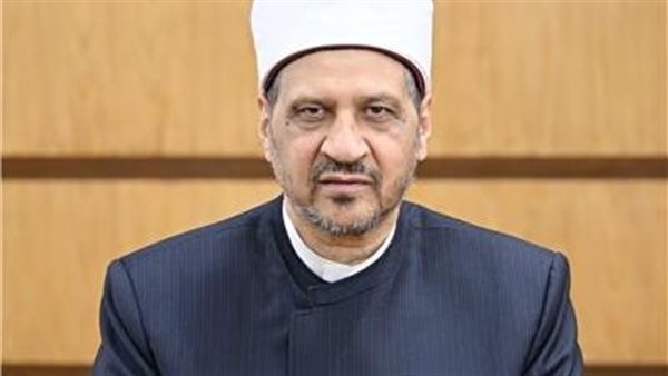 الدكتور مجدي عاشور