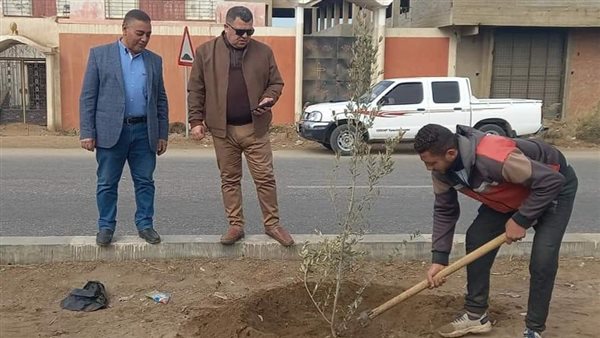 زراعة أشجار مثمرة