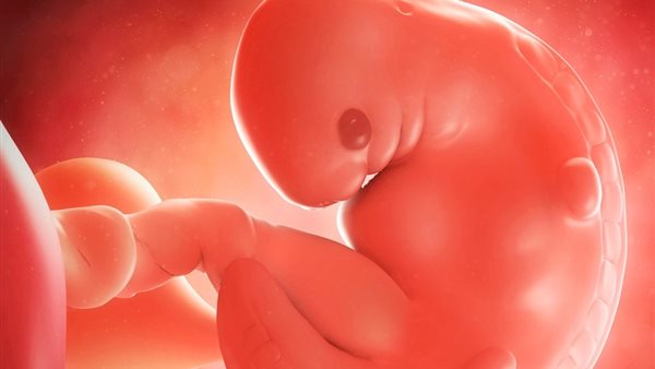 دعاء عظيم لمن تريد