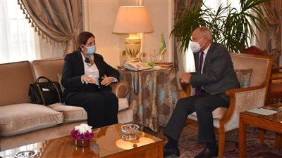 أبو الغيط يبحث مع الأمينة التنفيذية للجنة الاقتصادية لغرب آسيا النهوض بالتنمية في العالم العربي