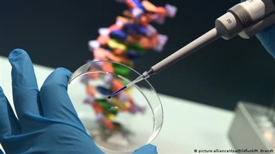 تحليل DNA.. قرار جديد من النيابة لكشف تفاصيل مقتل ربة منزل على يد أشقائها بالهرم