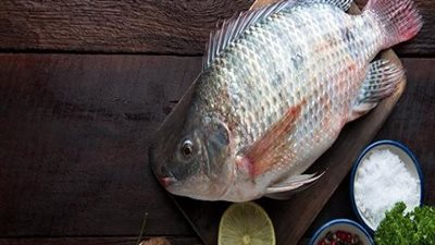 محافظ كفر الشيخ: طرح طن ونصف أسماك بسعر 40 و50 جنيها للكيلو 