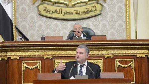 وزير قطاع الأعمال