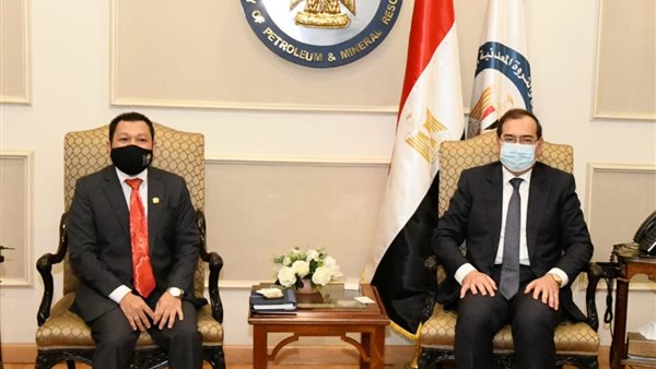 وزير البترول والسفير