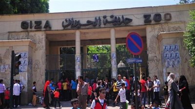 سبتمبر المقبل.. الزراعة تعلن موعد افتتاح حديقتي حيوان الجيزة والأورمان | بث مباشر 