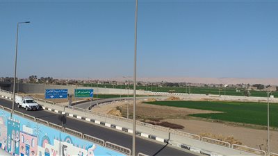 طقس سوهاج.. رياح باردة وانخفاض شديد في درجات الحرارة | فيديو وصور