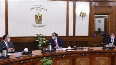 رئيس الوزراء يتابع نتائج تجربة زراعة القطن قصير التيلة بشرق العوينات