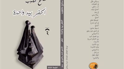 الحفر بيد واحدة.. شعرية الغوص في الخيال