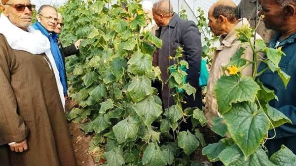 مدرسة حقلية للزراعة