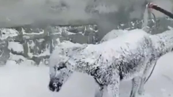 الأرصاد الجوية 