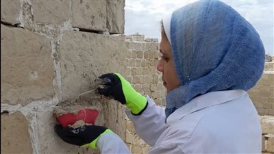 الآثار تواصل أعمالها في ترميم قلعة قايتباي الأثرية | صور 