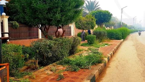 أعمال التشجير بسوهاج