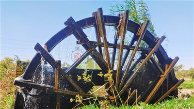 معايشة|أجواء ريفية وأصوات مُمتعة.. قصة أكبر ساقية في مصر وخبير سياحي: جزء من وجدان الفلاح الفيومي