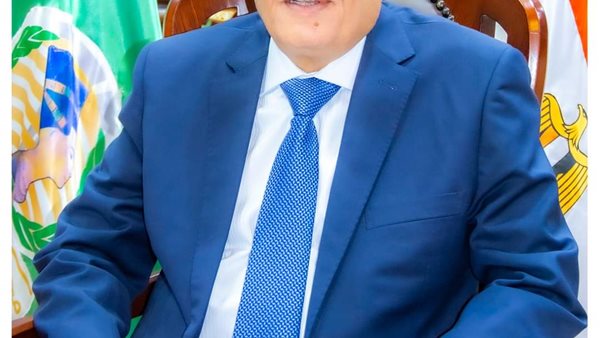 محافظ المنيا