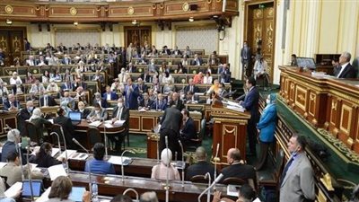 برلمانيه تطالب بتفعيل بروتوكول التعاون بين وزارتي التنمية المحلية والبيئة لنقل المخلفات بالترع والمصارف في أسرع وقت 