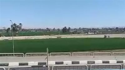 شمس ساطعة وأجواء شتوية معتدلة في محافظتي أسوان وسوهاج| بث مباشر