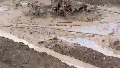 تفاصيل تسرب غاز داخل أرض زراعية بالدقهلية