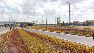 جهاز 6 أكتوبر يجمل الأحياء والطرق الرئيسية بالنباتات|خاص