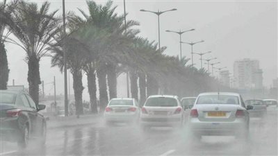 أمطار متوسطة تضرب محافظة القليوبية اليوم