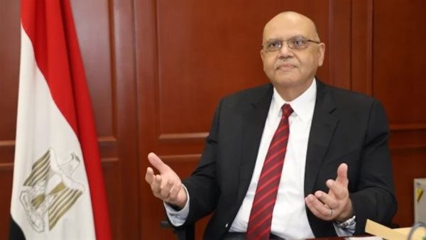 السفير المصري في