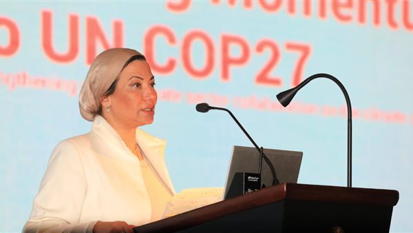 الدكتورة ياسمين فؤاد