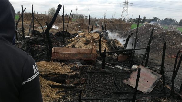 السيطرة على حريق مزرعة مواشي في سنهوا بالشرقية