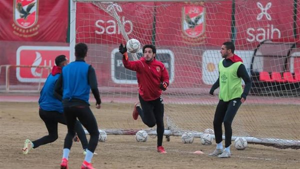 مصطفى شوبير