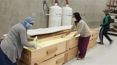 من الحفرة إلى قاعة العرض.. انطلاق فاعلية إعادة تركيب مركب خوفو الثانية أمام الزائرين بالمتحف المصري الكبير