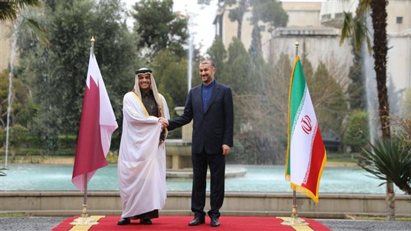 وزيرا خارجية قطر