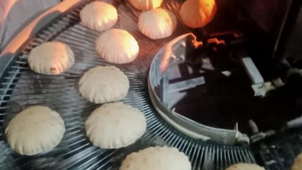 جانب من الحملة