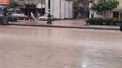 تزامنا مع أول أيام نوة الكرم.. طقس غير مستقر في البحيرة ورياح شديدة وسقوط أمطار بالإسكندرية │ بث مباشر