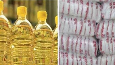 القابضة للصناعات الغذائية: ضخ 840 مليون كيلو سكر و884 زيت سنويا