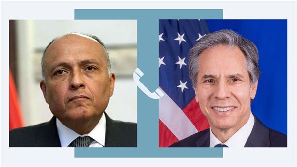 سامح شكري ونظيره