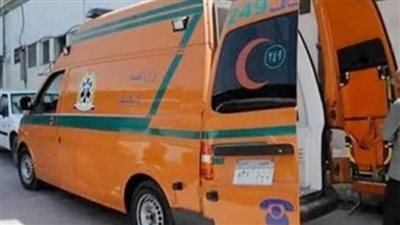 مصرع أم وطفلتها داخل غرفة بجراج سيارات بسبب استنشاق الغاز والبخار في حدائق الأهرام