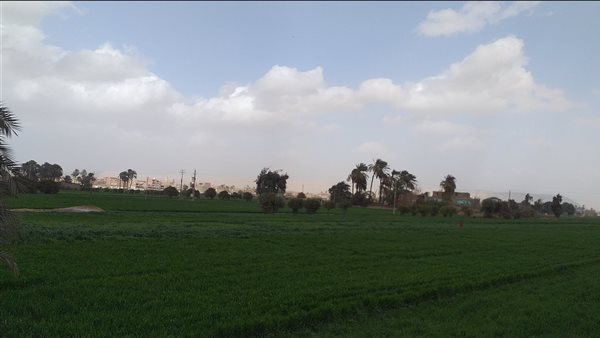 طقس سوهاج اليوم 