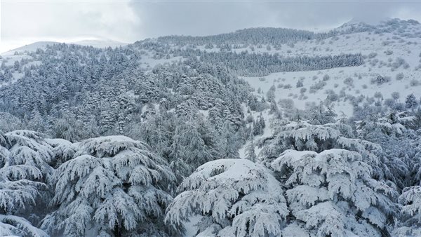 العاصفة الثلجية ياسمين