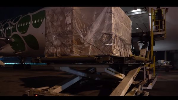 استلام 4 ملايين جرعة