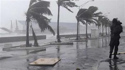 بث مباشر| أمطار ورياح.. الأرصاد تكشف حالة الطقس حتى آخر يناير الجاري