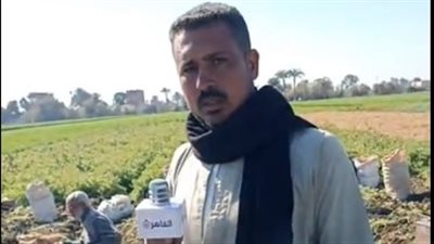 بث مباشر | بدء حصاد محصول الجزر بمحافظة بني سويف