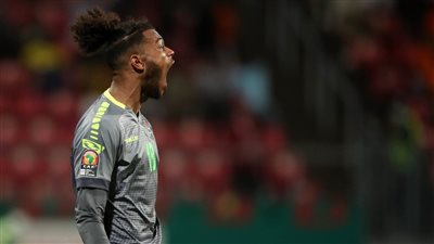 على طريقة كرة اليد.. تصدي قوي من حارس جامبيا أمام الكاميرون | فيديو