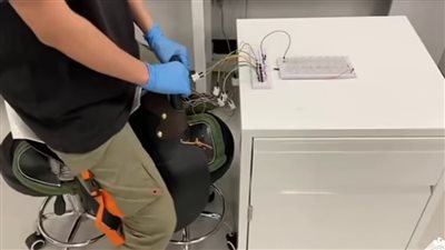 العلماء يطورون تقنية جديدة لركوب الخيل..تنبه الآخرين بسقوط الراكب |صور